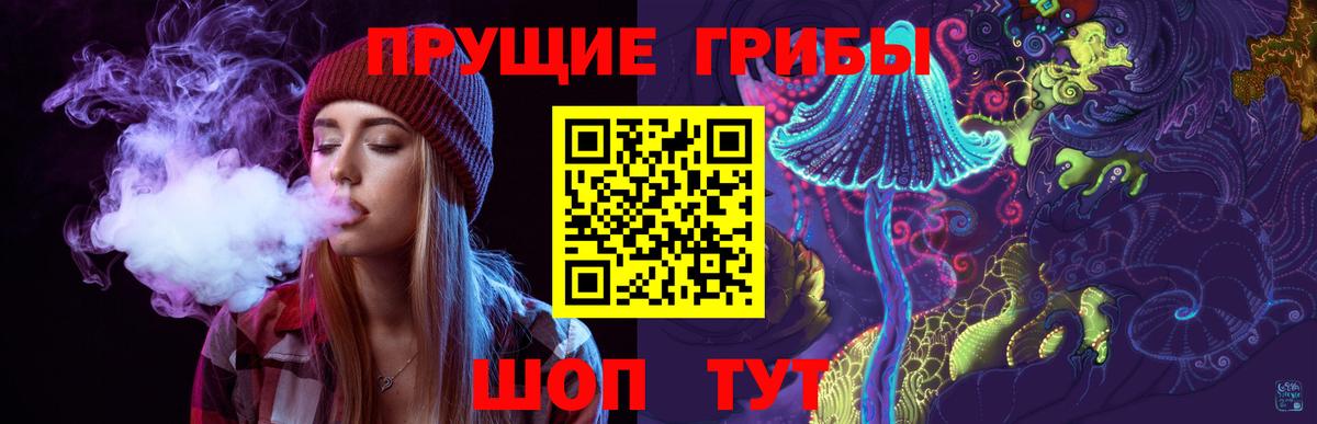 Псилоцибиновые грибы Cubensis Электрогорск